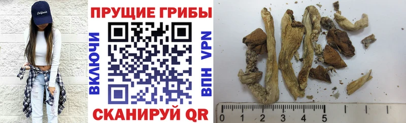 кракен зеркало Искитим Псилоцибиновые грибы Magic Shrooms где купить наркоту